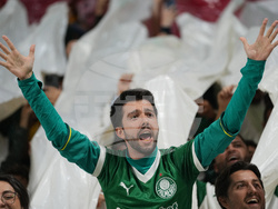Brazil Ecuador Soccer Copa Libertadores