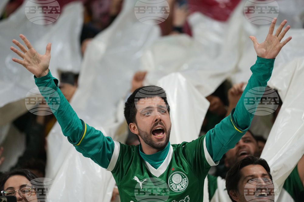 Brazil Ecuador Soccer Copa Libertadores