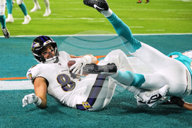 Ravens Dolphins Football