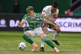 Brazil Ecuador Soccer Copa Libertadores