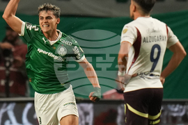 Brazil Ecuador Soccer Copa Libertadores