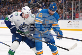 Canucks Blues Hockey