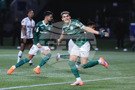 Brazil Ecuador Soccer Copa Libertadores