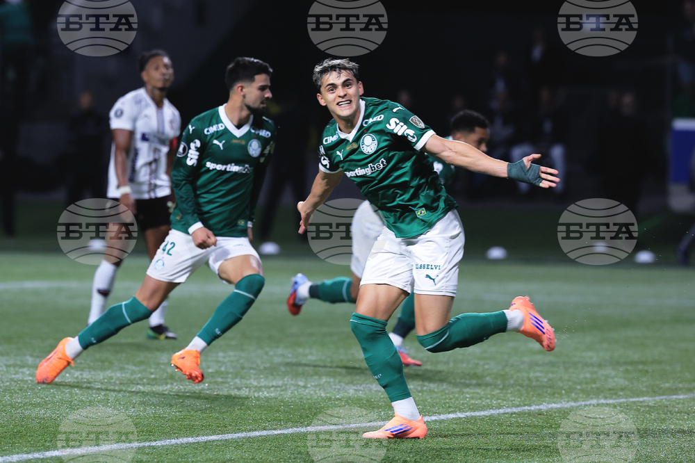 Brazil Ecuador Soccer Copa Libertadores