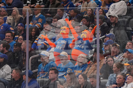 Canucks Blues Hockey