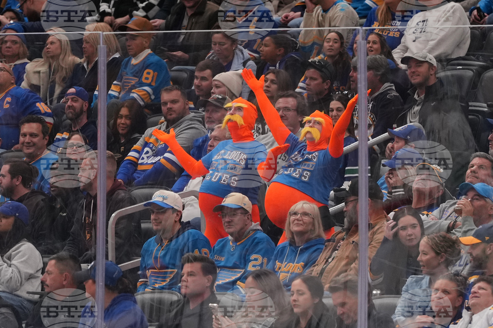 Canucks Blues Hockey