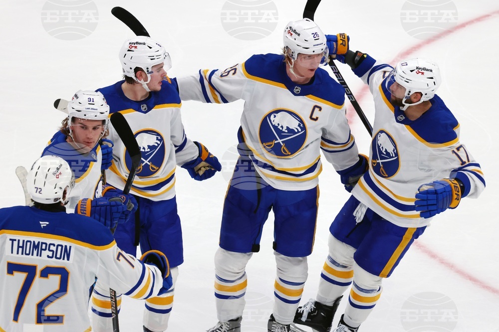 Sabres Bruins Hockey