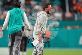 Ravens Dolphins Football