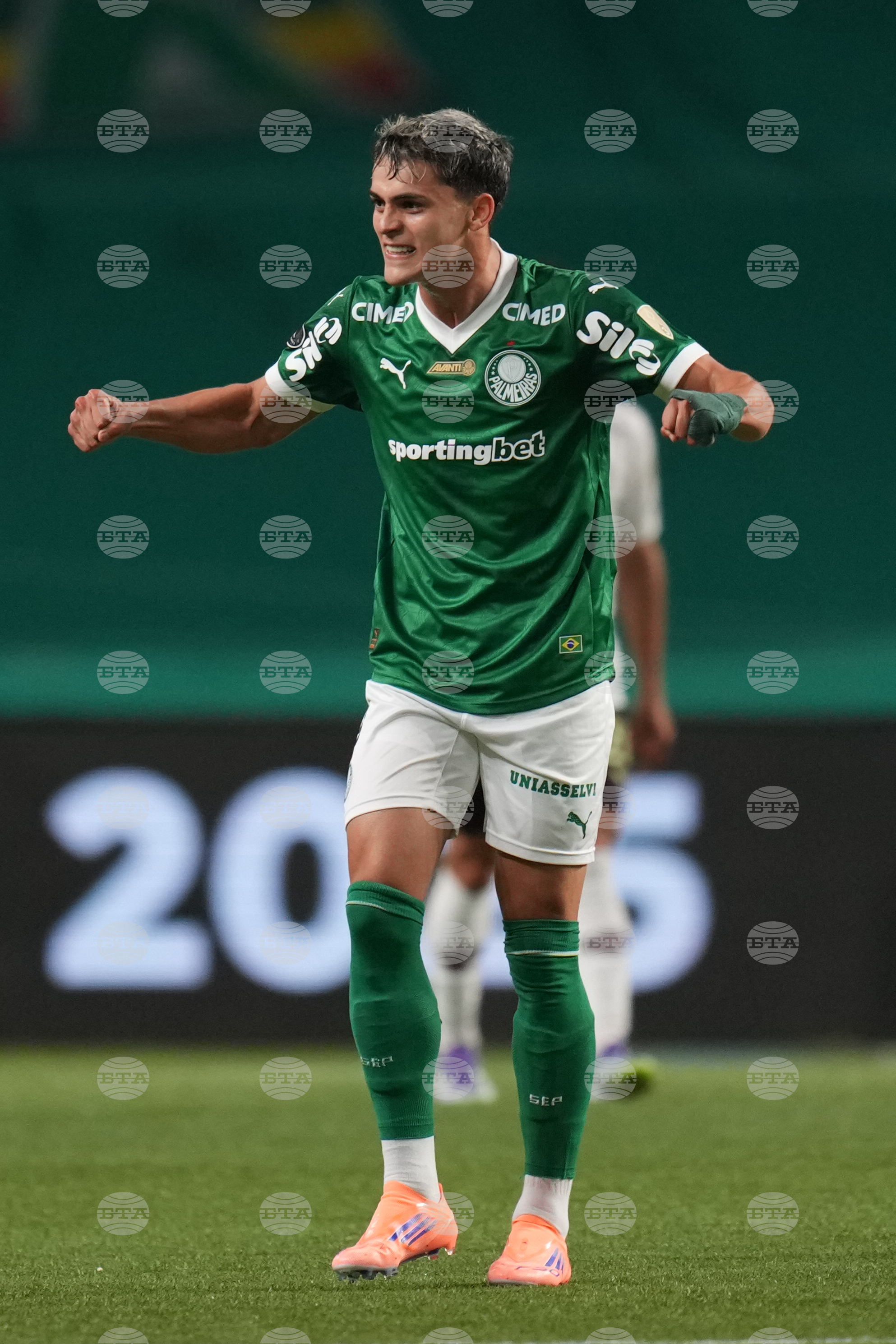 Brazil Ecuador Soccer Copa Libertadores