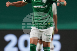 Brazil Ecuador Soccer Copa Libertadores