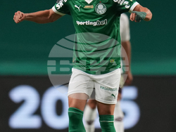 Brazil Ecuador Soccer Copa Libertadores