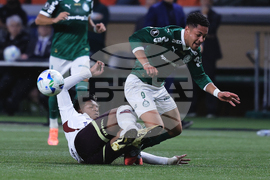 Brazil Ecuador Soccer Copa Libertadores