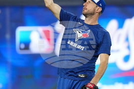 World Series Blue Jays Baseball