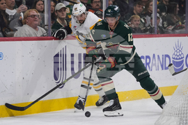 Penguins Wild Hockey