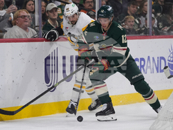 Penguins Wild Hockey