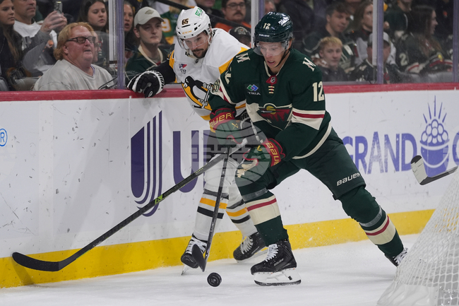 Penguins Wild Hockey