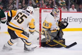 Penguins Wild Hockey