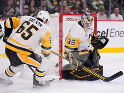 Penguins Wild Hockey