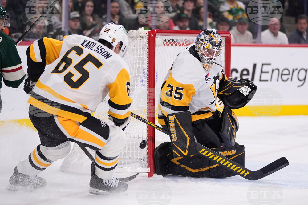 Penguins Wild Hockey