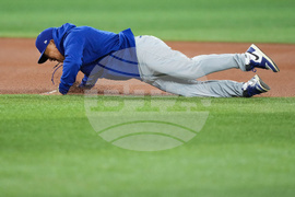 World Series Dodgers Baseball