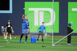 World Series Blue Jays Baseball