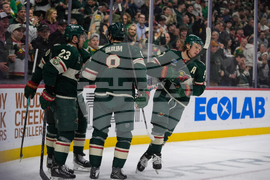 Penguins Wild Hockey