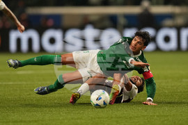 Brazil Ecuador Soccer Copa Libertadores