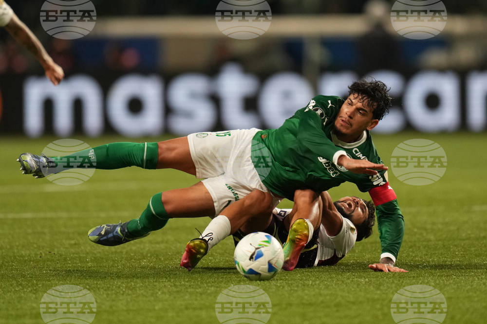 Brazil Ecuador Soccer Copa Libertadores