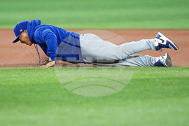 World Series Dodgers Baseball