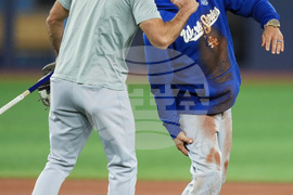 World Series Dodgers Baseball