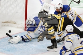 Sabres Bruins Hockey