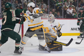 Penguins Wild Hockey