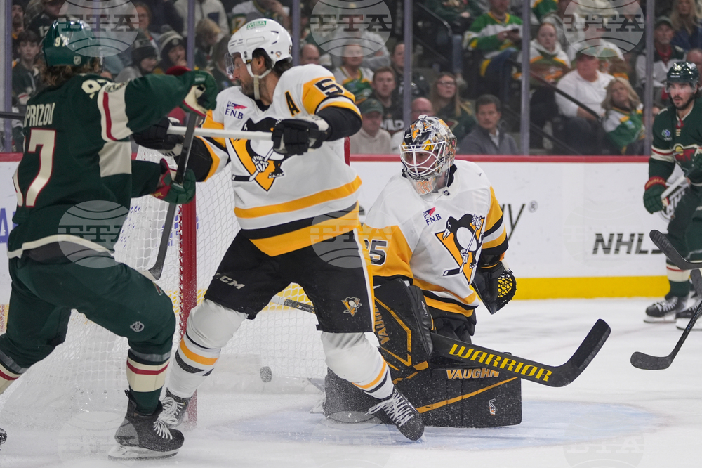 Penguins Wild Hockey