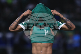 Brazil Ecuador Soccer Copa Libertadores