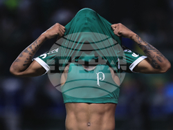 Brazil Ecuador Soccer Copa Libertadores