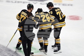 Sabres Bruins Hockey