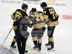 Sabres Bruins Hockey