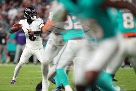 Ravens Dolphins Football