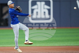 World Series Dodgers Baseball