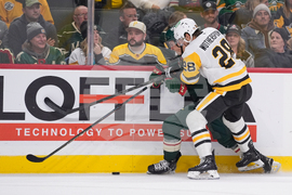 Penguins Wild Hockey