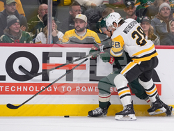 Penguins Wild Hockey