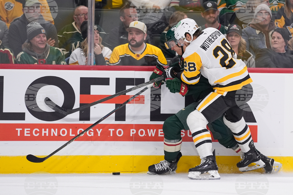 Penguins Wild Hockey