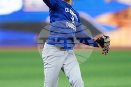 World Series Dodgers Baseball