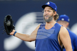 World Series Dodgers Baseball