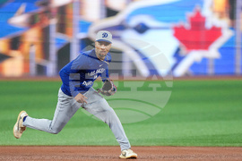 World Series Dodgers Baseball