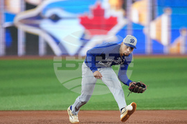 World Series Dodgers Baseball