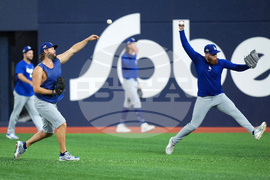 World Series Dodgers Baseball