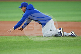 World Series Dodgers Baseball