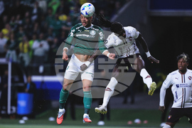 Brazil Ecuador Soccer Copa Libertadores