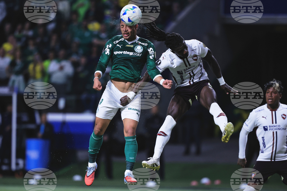 Brazil Ecuador Soccer Copa Libertadores